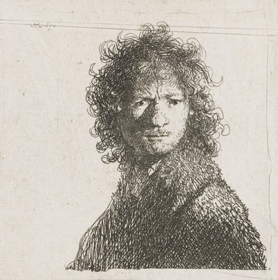 Autoritratto accigliato da Rembrandt van Rijn