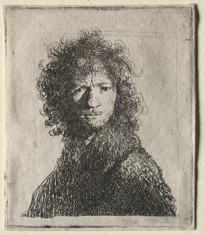 Autoritratto accigliato: Busto da Rembrandt van Rijn