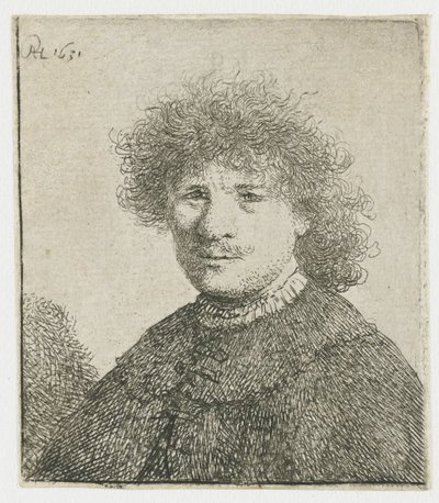 Autoritratto con mantello e colletto cadente: busto da Rembrandt van Rijn