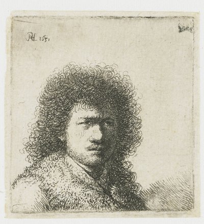 Autoritratto con capelli folti: busto da Rembrandt van Rijn