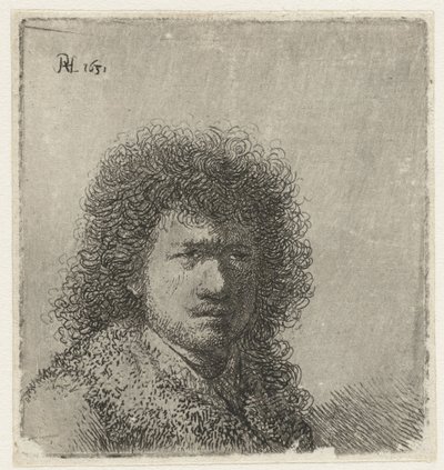 Autoritratto con capelli folti: busto da Rembrandt van Rijn