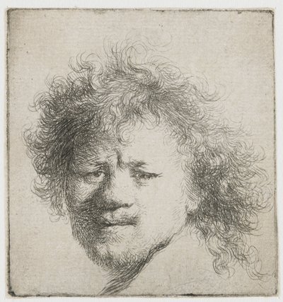 Autoritratto con capelli lunghi e folti: solo testa da Rembrandt van Rijn