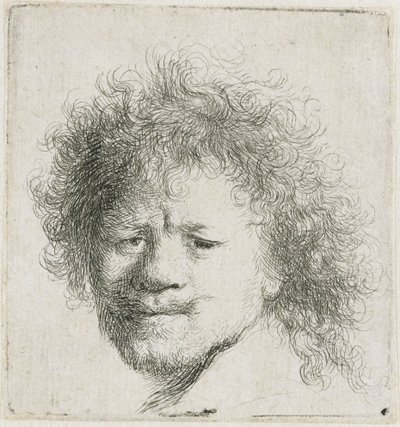 Autoritratto con capelli lunghi e folti: solo la testa da Rembrandt van Rijn