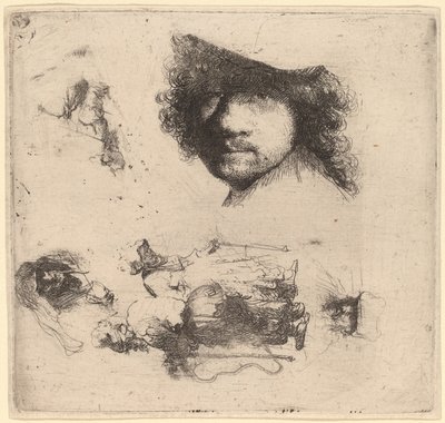 Foglio di studi con testa dell