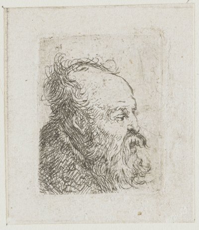Foglio con studi di teste maschili: anziano barbuto quasi di profilo verso destra: bocca semiaperta da Rembrandt van Rijn