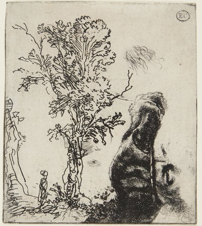 Foglio con due studi: un albero e la parte superiore di un autoritratto con un berretto di velluto da Rembrandt van Rijn