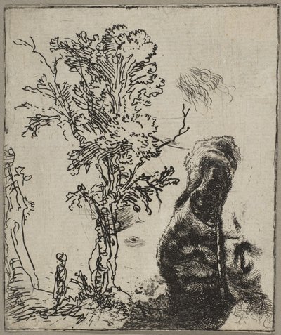 Foglio con due studi: un albero e la parte superiore di una testa di Rembrandt con un vel..., ca. 1642 da Rembrandt van Rijn
