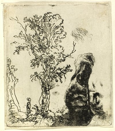 Foglio con due studi: un albero e la parte superiore della testa dell