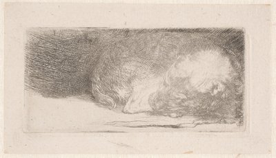  da Rembrandt van Rijn