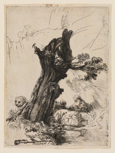 San Girolamo accanto a un salice capitozzato da Rembrandt van Rijn