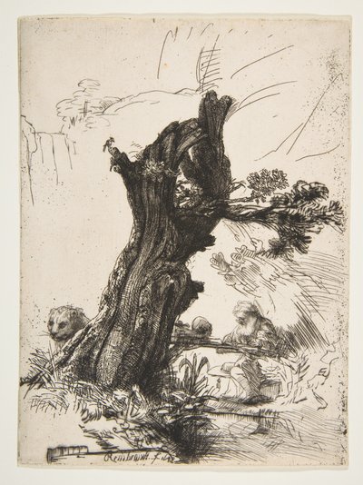 San Girolamo accanto a un salice capitozzato, 1648 da Rembrandt van Rijn