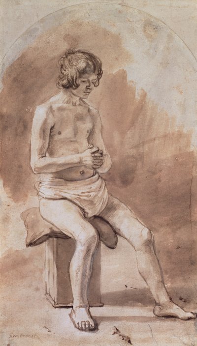 Studio di un giovane nudo da Rembrandt van Rijn