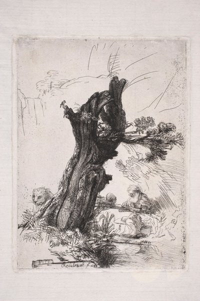 San Girolamo che scrive accanto al tronco di un salice da Rembrandt van Rijn