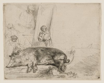 The Hog da Rembrandt van Rijn