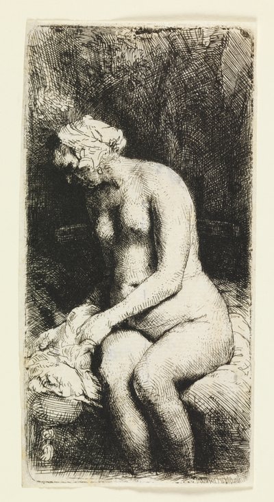 Donna che si Lava i Piedi a un Ruscello da Rembrandt van Rijn