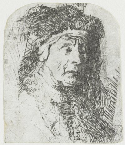 Donna in un mantello bordato di pelliccia da Rembrandt van Rijn