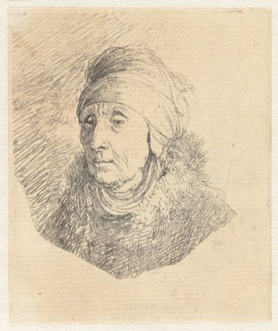 Donna con un copricapo alto avvolto intorno al mento: busto da Rembrandt van Rijn