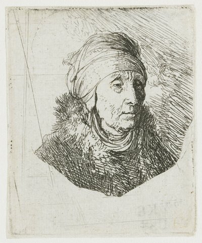 Donna con un copricapo alto avvolto intorno al mento: busto da Rembrandt van Rijn