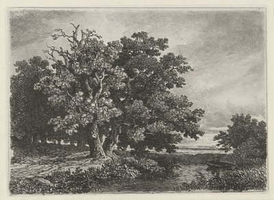Alberi presso uno stagno con una barca da Remigius Adrianus Haanen