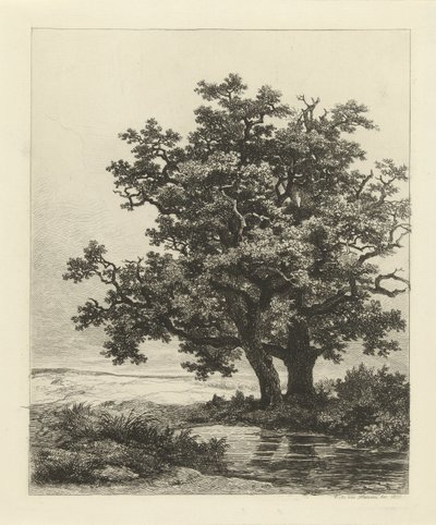 Due querce vicino a un laghetto da Remigius Adrianus Haanen