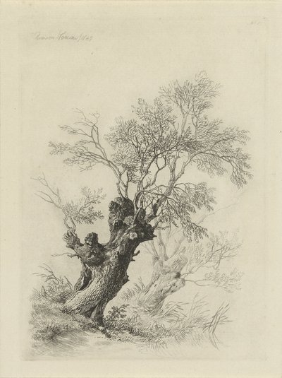 Salice da Remigius Adrianus Haanen