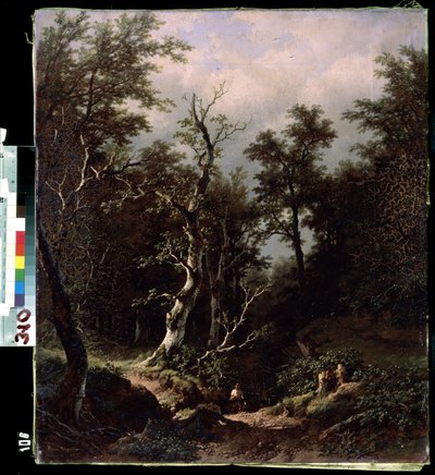 Paesaggio forestale da Remigius van Haanen