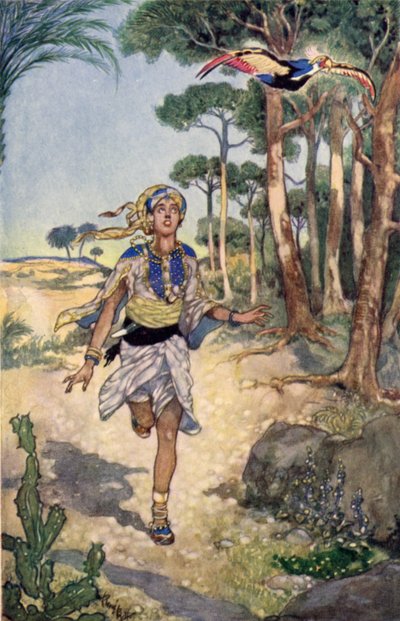 La mattina seguente seguì l