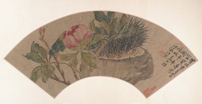 Peonia da Ren Xiong