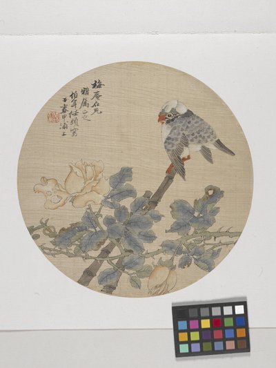 Fiore e uccello da Ren Yi (1840 96)