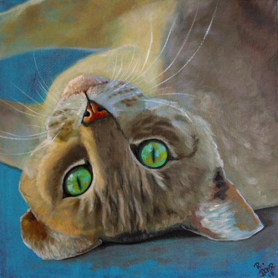 Felicità del gatto da Renate Dohr
