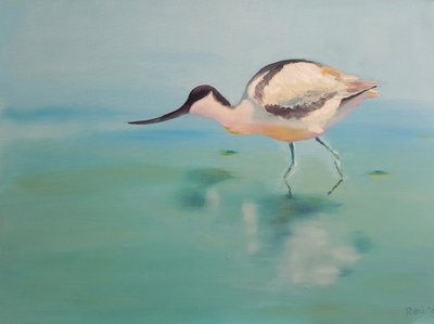 Avocetta da Renate Dohr