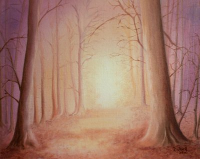 Strada verso la luce da Renate Dohr