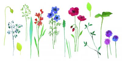 Fiori colorati dipinti ad acquerello da Renate Holzner