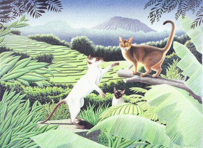 Bali da Rene Boin