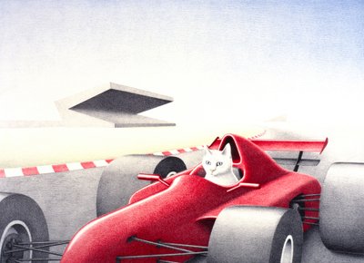 Circuito da Rene Boin