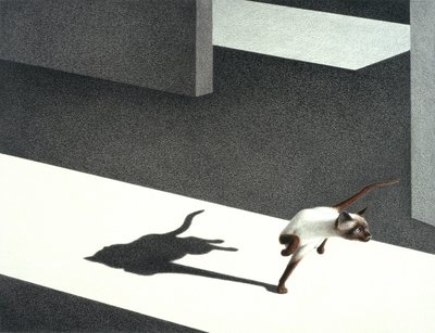 Angolo da Rene Boin