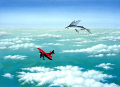 Pesce Volante da Rene Boin