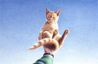 Mano piena da Rene Boin