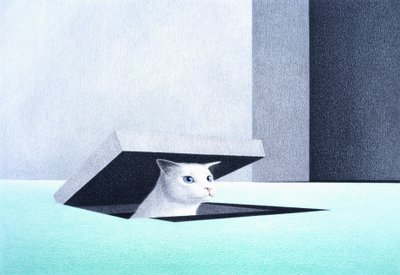 Schiusura da Rene Boin