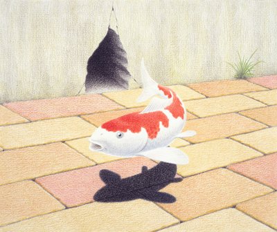 Koi da Rene Boin