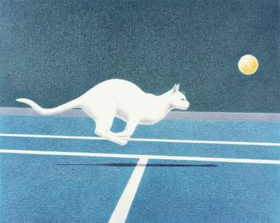 Tennis da Rene Boin