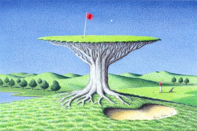 Albero da Rene Boin
