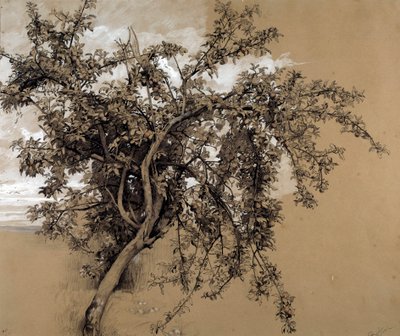 Il melo di carbone da Rene Ernest Huet