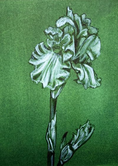 Elegante iris verde da Renee Machan Cottagecore Artist