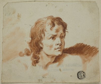 Busto di giovane da Rev. Matthew William Peters