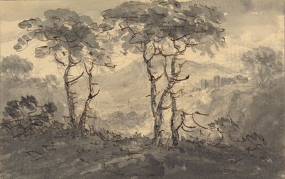 Abeti in un paesaggio montano da Rev. William Gilpin