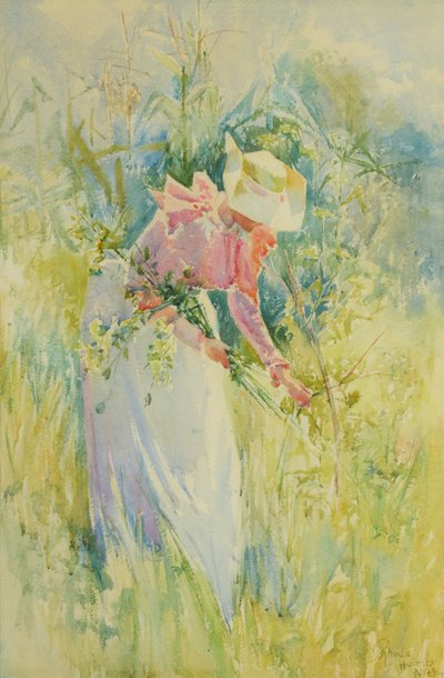 Raccolta di fiori selvatici 1900 da Rhoda Holmes Nicholls
