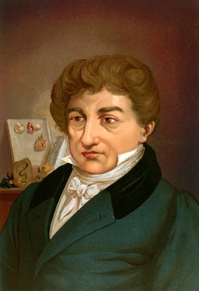 Georges Cuvier da Ricardo Marti