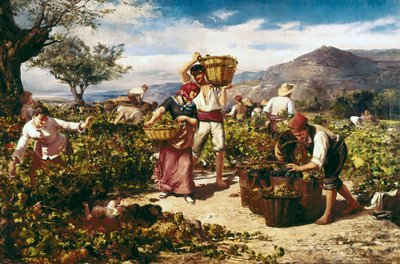 "Il raccolto" di Ricardo Marti i Aguilo da Ricardo Marti