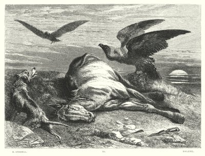 Il Childe Harold di Lord Byron, Canto I, Strofa 88 (incisione) da Richard (after) Ansdell
